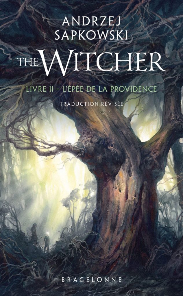 Le Sorceleur, Livre 2, L'épée de la providence